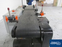 Image of Nutech Box Printer with Conveyor 06