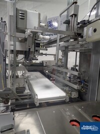 Image of Skinetta Case Packer, Model CP145 07