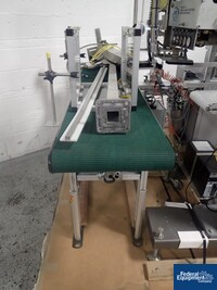 Image of Skinetta Case Packer, Model CP145 23