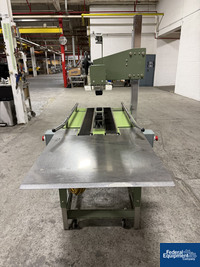 Image of Loveshaw Case Taper, Model LDI B, with flexible roller conveyor 03