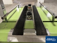 Image of Loveshaw Case Taper, Model LDI B, with flexible roller conveyor 08