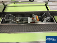 Image of Loveshaw Case Taper, Model LDI B, with flexible roller conveyor 09