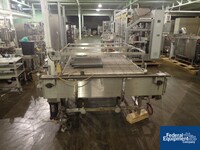 Image of 48" x 66" Accumulation Conveyor Table 02
