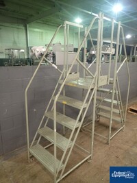 Image of Over Conveyor Ladder 03