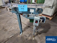 Image of 4" Carton Transfer Conveyor 02