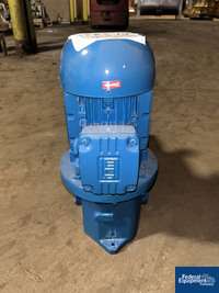 Image of PCM Plunger Dosing Pump, Model P31S8TE65, S/S 05