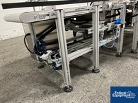 Image of Optel OP300 Case Label Inspection System with mk North America GUF-P 2000-AC Conveyor 24