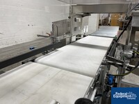 Image of Optel OP300 Case Label Inspection System with mk North America GUF-P 2000-AC Conveyor 10