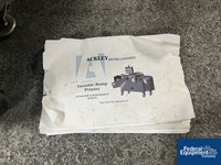 Image of Ackley Ramp Printer, 01481-00158 with Feeding System with Eriez D30A 27