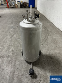 Image of 30 Gal Alloy Products Receiver Tank, 316 S/S, 100# 03