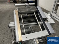 Image of Pineberry Labeler, Model Wockhardt-Line 8 10