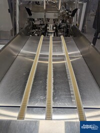 Image of MGS Case Packer, Model Advantage 06