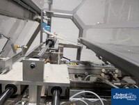 Image of MGS Case Packer, Model Advantage 10