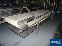 Image of 42" X 132" Horizontal Belt Conveyor 02