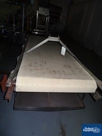 Image of 42" X 132" Horizontal Belt Conveyor 03