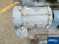 Image of 2" Viking Rotary Gear Pump, S/S, 10 HP 03