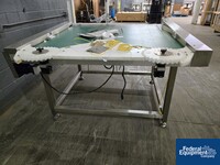 Image of 54" X 48" Dabrico Diverging Conveyor 02