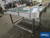 Image of 54" X 48" Dabrico Diverging Conveyor 03
