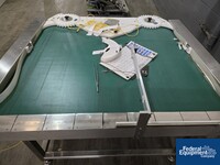 Image of 54" X 48" Dabrico Diverging Conveyor 04