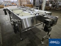 Image of 48" x 96"Advantage Accumulation Conveyor, S/S 03
