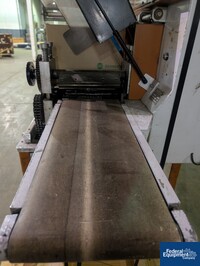 Image of Record Horizontal Flow Wrapper, Model PANDA 14