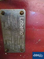 Image of 3" Lobeflo Rotary Lobe Pump, S/S, 7.5 HP 04