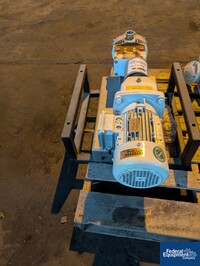 Image of IDEX Wrightflow Rotary Lobe Pump, S/S 04