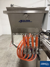 Image of Accutek Inline Piston Filler, Model AVF4-16 17