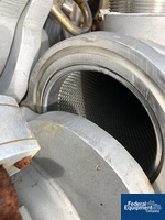 Image of 4" FSI Basket Filter, 304 S/S 02